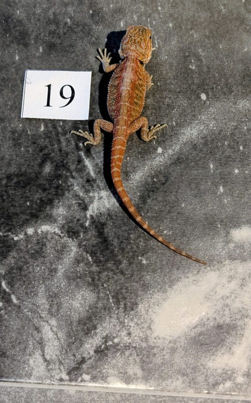 PXL_20251029_170524204.PORTRAIT.ORIGINAL~2