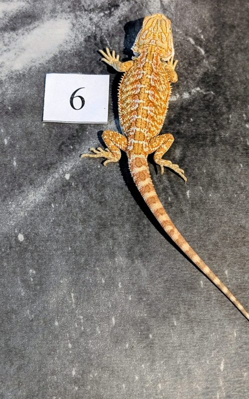 PXL_20251117_164640762.PORTRAIT.ORIGINAL~2