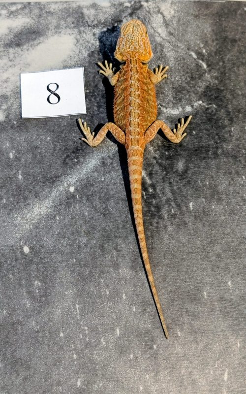 PXL_20251117_164836573.PORTRAIT.ORIGINAL~2