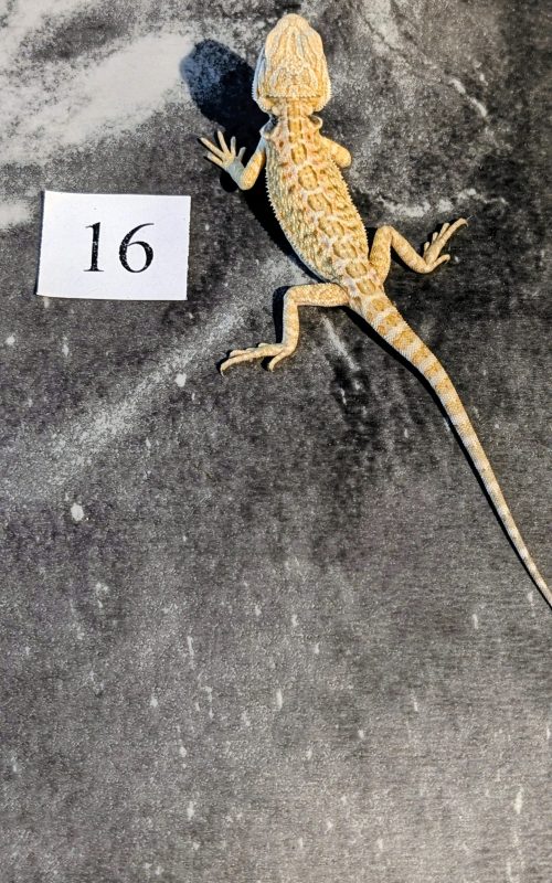 PXL_20251117_165039615.PORTRAIT.ORIGINAL~2