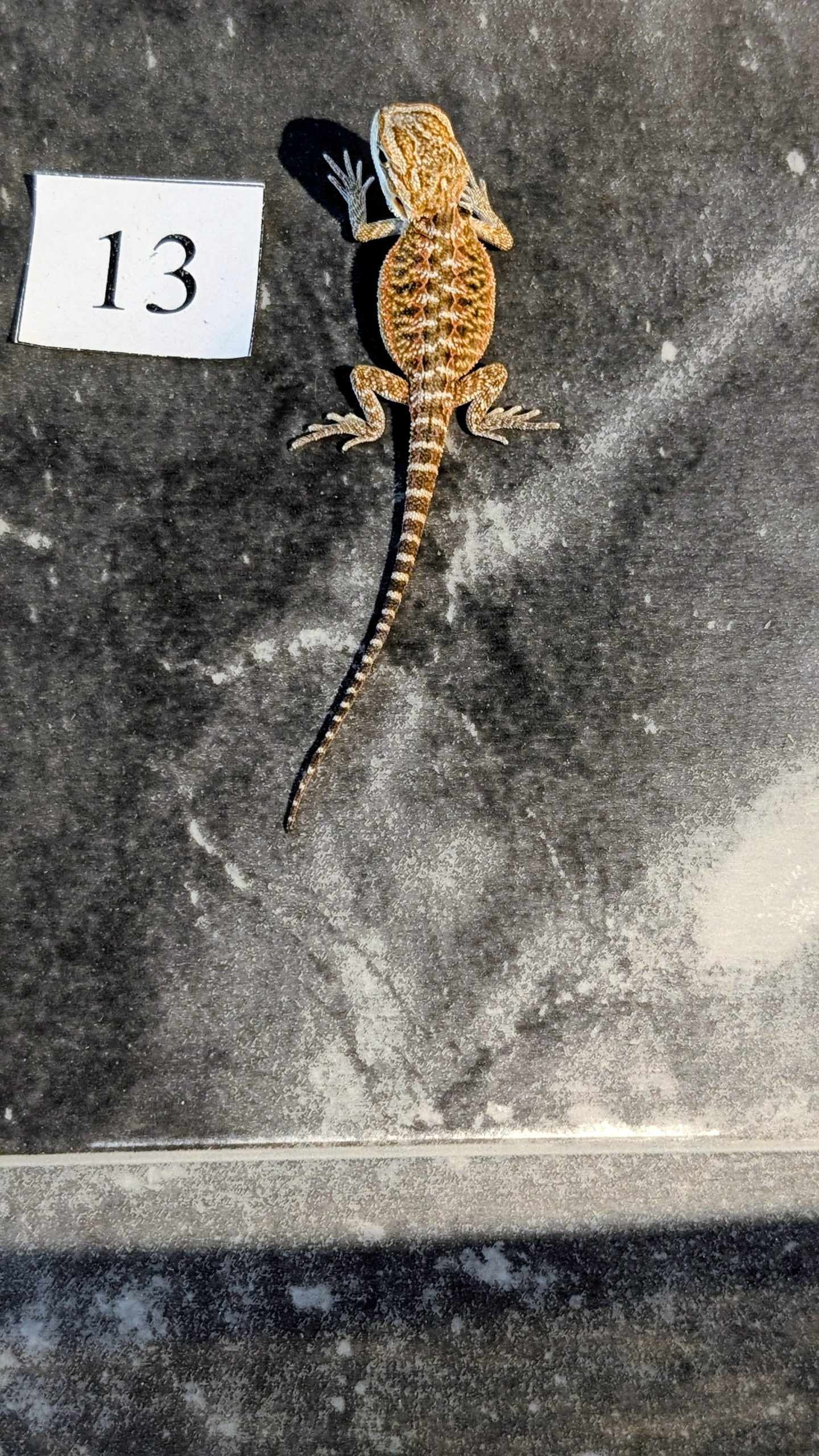 PXL_20250915_185834030.PORTRAIT.ORIGINAL~2