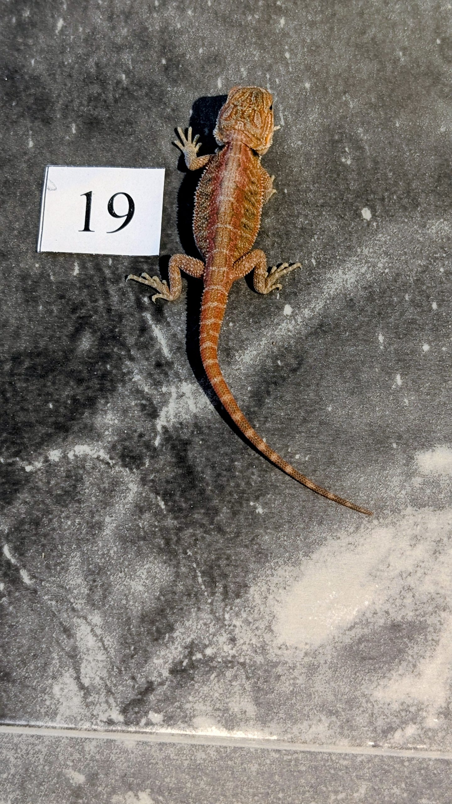 PXL_20251029_170524204.PORTRAIT.ORIGINAL~2